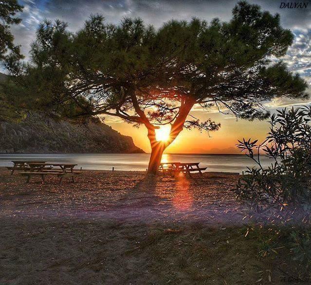 Sirius Hotel Dalyan Luaran gambar